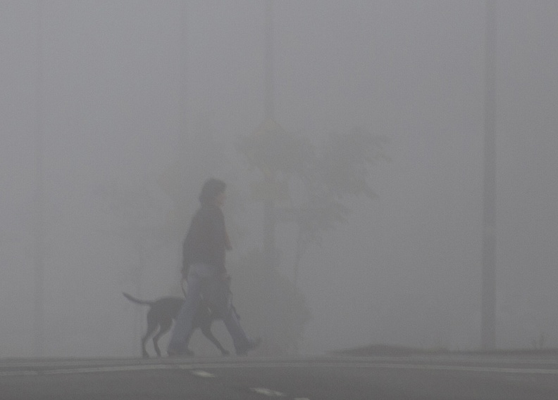 319-9493 Walking the Dog in the Fog.jpg